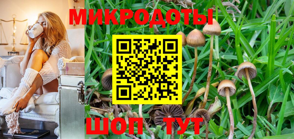 Тосно  Галлюциногенные грибы Psilocybe  где купить   Псилоцибиновые грибы ЛСД  Вход с VPN 