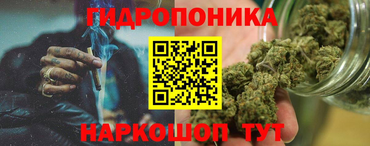 Тосно  Конопля сатива  Марихуана OG Kush  Канабис ГИДРОПОН  Марихуана VHQ  Вход с VPN 